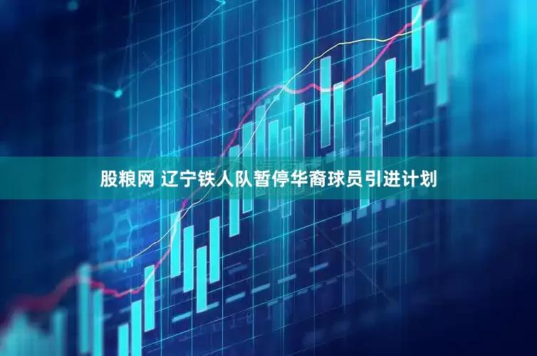 股粮网 辽宁铁人队暂停华裔球员引进计划