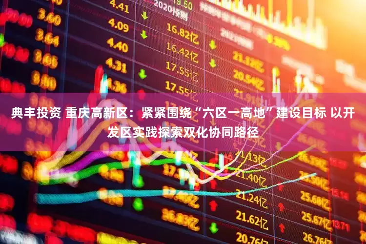 典丰投资 重庆高新区：紧紧围绕“六区一高地”建设目标 以开发区实践探索双化协同路径