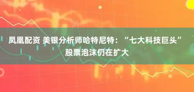 凤凰配资 美银分析师哈特尼特：“七大科技巨头” 股票泡沫仍在扩大