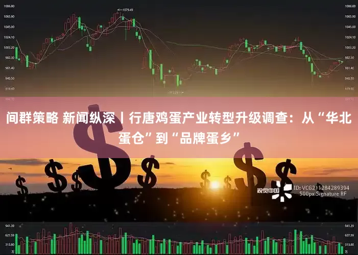 间群策略 新闻纵深丨行唐鸡蛋产业转型升级调查：从“华北蛋仓”到“品牌蛋乡”